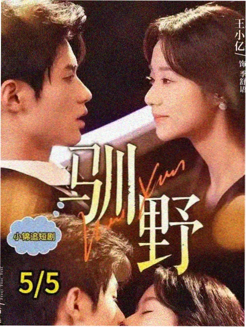 放映行业特辑